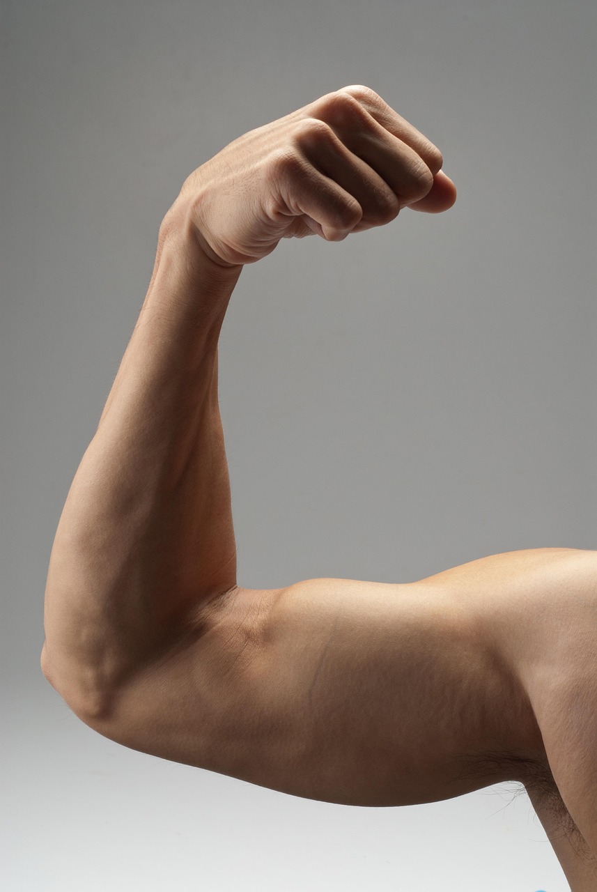 arm, muscle, strong, biceps, exercise, fitness, bodybuilding, adult, male, gym, guy, lifestyle, muscular, athlete, athletic, power, strength, bodybuilder, people, gray fitness, gray gym, gray exercise, gray workout, gray power, arm, arm, arm, arm, arm, muscle, muscle, strong, biceps, strength